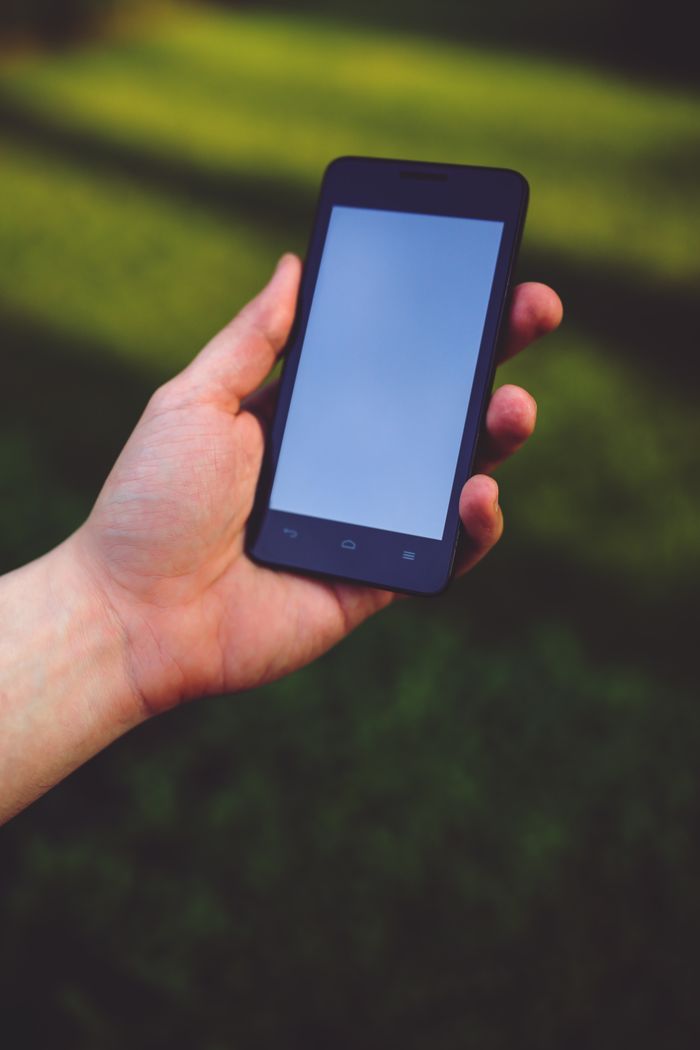 Offerings Close-up of a hand holding a blank smartphone outdoors with green blurred background.