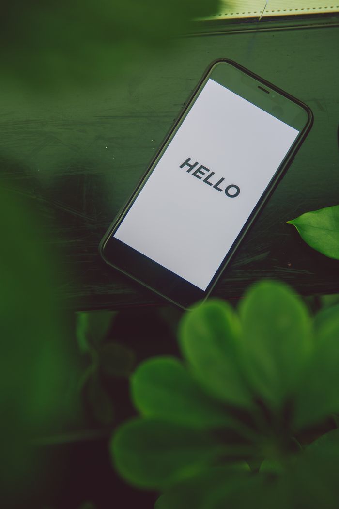 Offerings Smartphone displaying 'Hello' surrounded by lush green leaves, blending technology with nature.